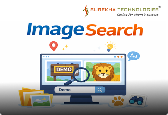 Image Search for Liferay