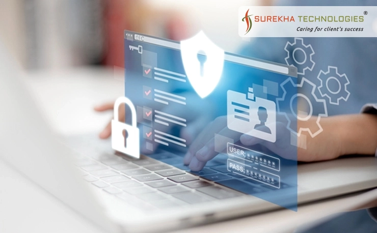 Protecting Personally Identifiable Information (PII) for Liferay DXP implemented at Financial Institution