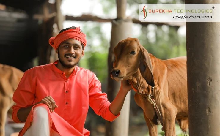 Website for Animal Welfare NGO in WordPress
