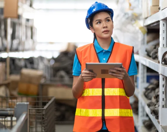 Automotive Inventory