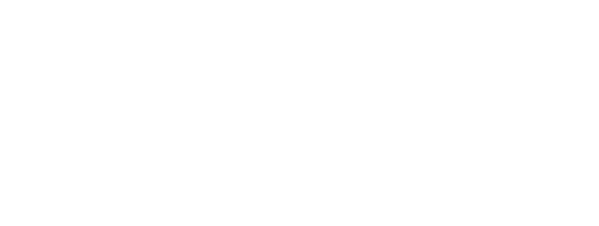 finance-fintech software