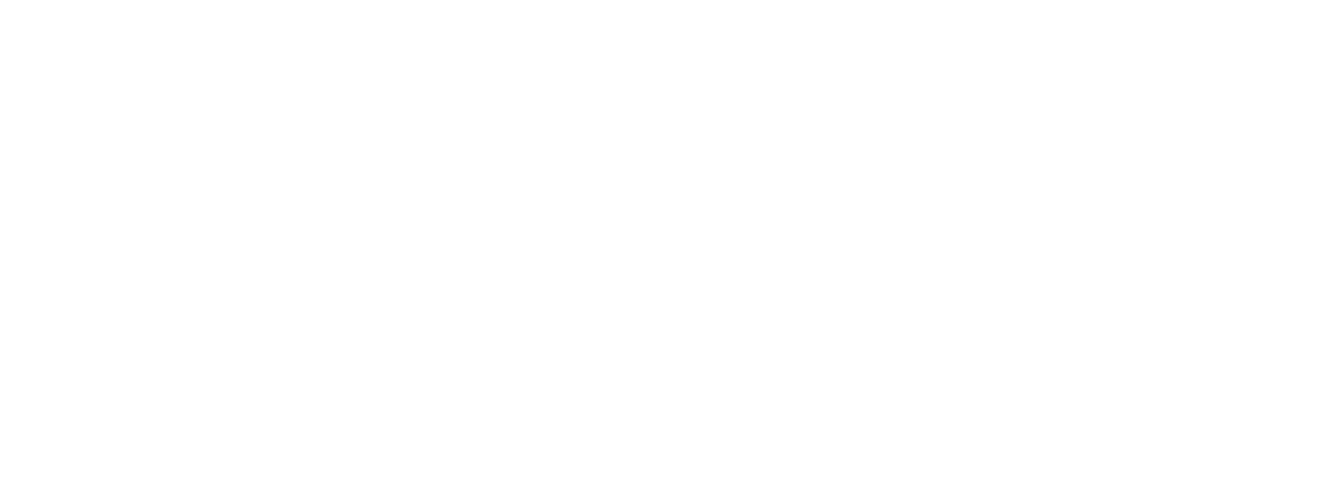 ReactJS Development Service