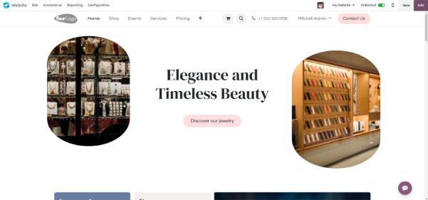 Website Theme View