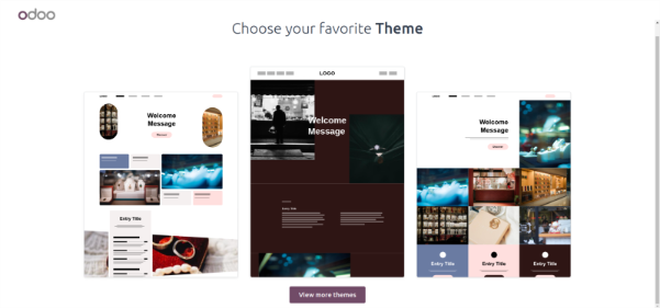 Select a Website Theme
